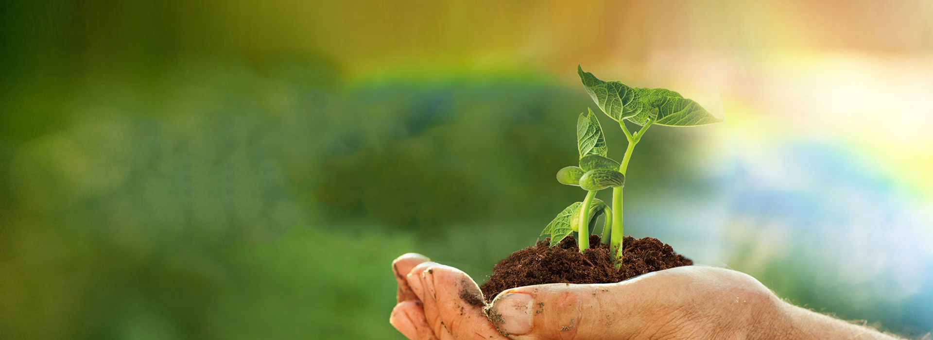 Z6尊龙·凯时(中国)-官方网站